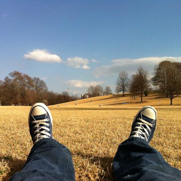 Truffle Infused Olive Oil - image 3