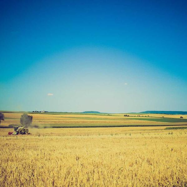 Canvas Weekender Bag - image 3