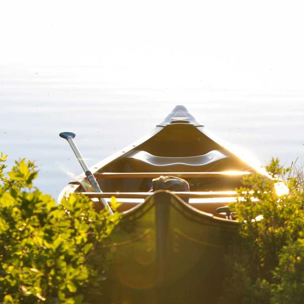 Vitamin C Brightening Serum - image 1