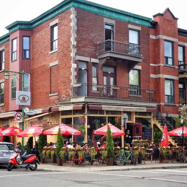 Shea Butter Body Lotion