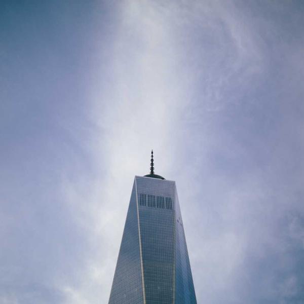 Eucalyptus Shower Steamers (6-Pack) - image 3