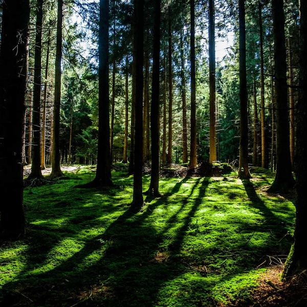 Full Grain Leather Messenger Bag