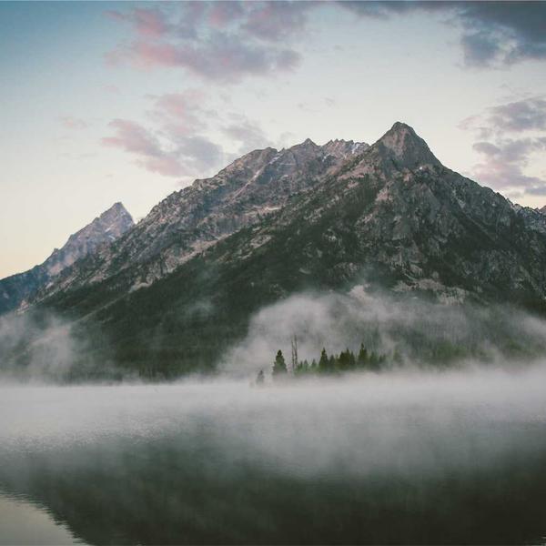 Botanical Print Collection (Set of 3) - image 3